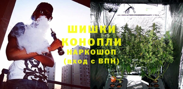 ALPHA-PVP Гусев
