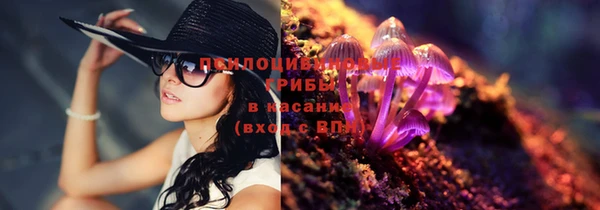 твердый Гусь-Хрустальный