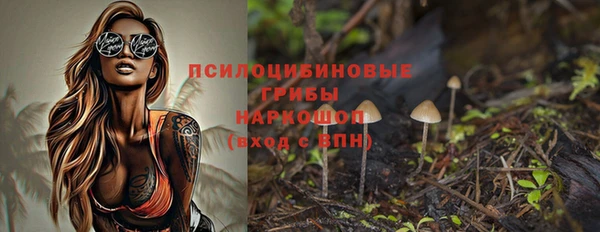 твердый Гусь-Хрустальный