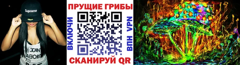 купить наркоту  Дудинка  Псилоцибиновые грибы Cubensis 